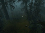 c3m2_swamp